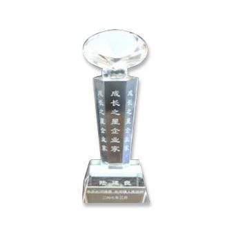 2007年长河镇“生长之星”