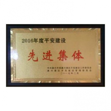 2016年度安然扶植前进前辈个人